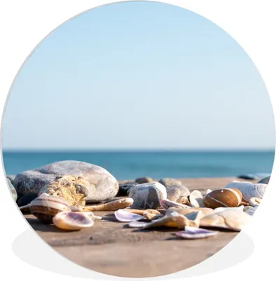 Produktbild von MuchoWow® Rundes Wandbild - Runde Bilder Muscheln - Strand - Meer - Sommer - Sonne Ø 90 cm Kreis Wanddekoration Kunststoff - Wandkreis - Wandschmuck - Wand-Kreis - Wohnzimmer - Bild - Runde - Wanddeko - Dibond - Kunstdrucke