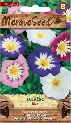 Image de Mauve, tricolore, mélangé 00689