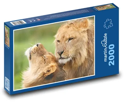 Obrázok produktu pre martinpuzzle – Puzzle 2000 – Lev a lvice