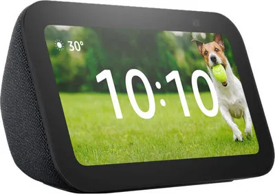 A smart display showing the time and weather, with a dog playing fetch in the background.