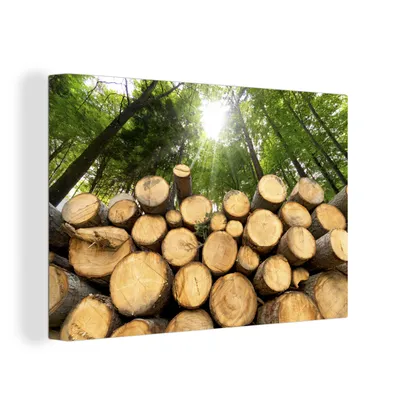 Zdjęcie produktu dla OneMillionCanvasses® - Obraz na płótnie - 150x100 cm, Drzewa - Drewno - Las, dekoracja ścienna z nadrukiem