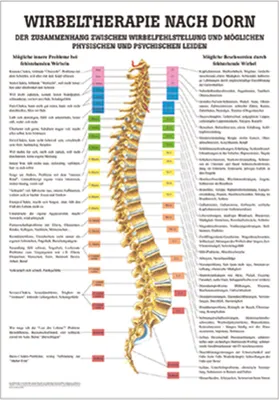 Immagine prodotto di Tavola didattica Dorn per la terapia anatomica 100x70 cm ausili didattici per la medicina