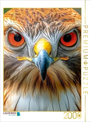 Produktbild von CALVENDO Puzzle Baumfalke | 2000 Teile Lege-Größe 90x67cm Foto-Puzzle für glückliche Stunden