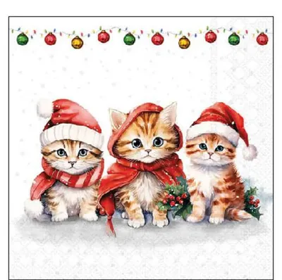Imagen del producto de Servilletas de cóctel "Ambiente" de 25 x 25 cm – Diseño de gatitos adorables y divertidos