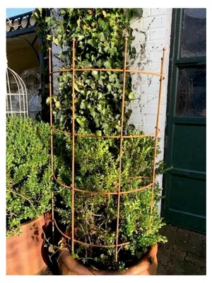 Produktbild von Halbrunde Rankhilfe aus Metall, Breite 60 cm, Höhe 118 cm, Rost