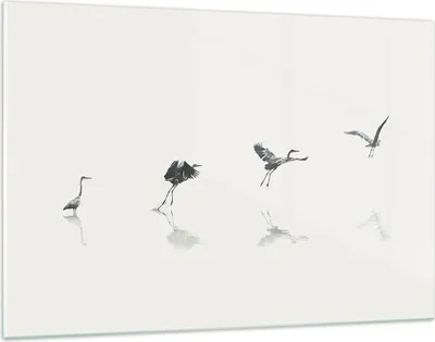 Produktbild von Bilder auf glas - Einteilig - Flug Vogel Reiher - 120x80cm - Glasbilder - Wandbilder - Bilder - zum Aufhängen bereit - Wanddekoration aus Glas - Glas Bilder - Wandbild auf Glas - GAA120x80-5096