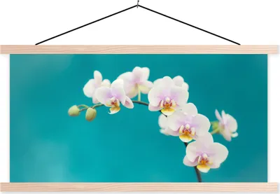 Produktbild von MuchoWow® Textilposter Orchidee - Blumen - Pflanze - Weiß - Lila 60x30 cm mit holzfarbenen Rahmen - Dekoration