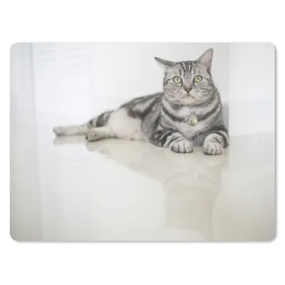 Produktbild von MuchoWow® Mauspad Mousepad Katze - Grau - Tier - Mädchen - Kinder - Jungen - Kind 23x19 cm - Mousepads - Maus Mat - Pad - Mausunterlage - Schreibtischunterlage - Mauspad