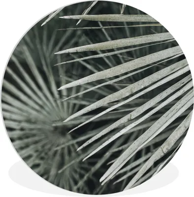 Produktbild von MuchoWow® Rundes Wandbild - Runde Bilder Blätter - Grün - Palme Ø 60 cm Kreis Wanddekoration Kunststoff - Wandkreis - Wandschmuck - Wand Kreis - Das Schlafzimmer - Die Bilder - Wandmalerei - Kunst für das Haus - das Plastik