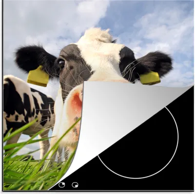 Produktbild von KitchenYeah© Herdabdeckplatte Kuh - Bauernhof - Gras - Tiere , 78x78cm, Küche Deko, Glaskeramikkochfeld Herdabdeckung, Abdeckplatte fùr Kochfeld