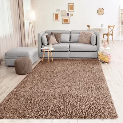 A living room scene with a sofa, rug, and other furniture.