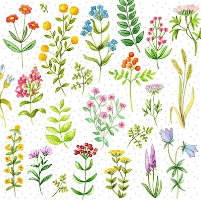 Produktbild von Braun & Company Servietten bunt 33 x 33 cm - 20er Pack