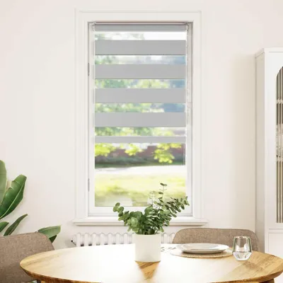 Obrázek produktu pro vidaXL Dvojitá roletka, světle šedá, 60 x 100 cm, šířka látky 55,9 cm, polyester