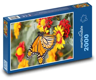 Obrázok produktu pre Puzzle 2000 Motýľ na farebných kvetoch - martinpuzzle