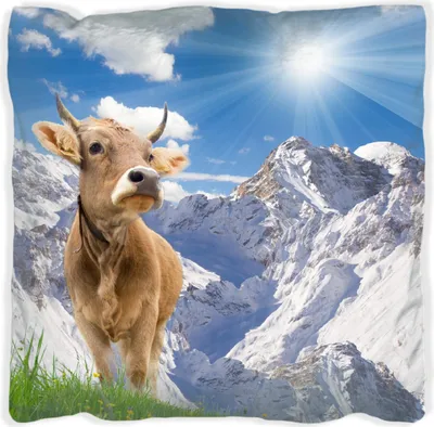 Produktbild von Wallario Premium Kissen, weiche Oberfläche, mit Motiv Kuh im Sonnenschein in den Alpen, Größe: 40 x 40 cm, mit weißer Rückseite