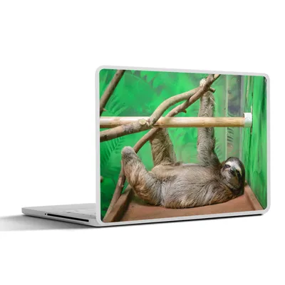 Produktbild von MuchoWow® Laptop Aufkleber Sticker Cover Ein Faultier, das auf einem Tisch im Zoo liegt 36.5x27.5 cm - Laptop-Sticker
