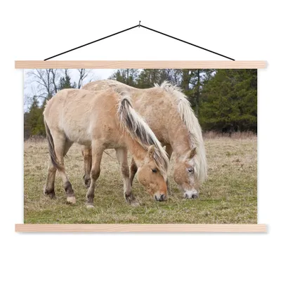 Produktbild von MuchoWow® Textilposter Zwei grasende Fjordpferde auf einer Wiese 60x40 cm mit holzfarbenen Rahmen - Bilder