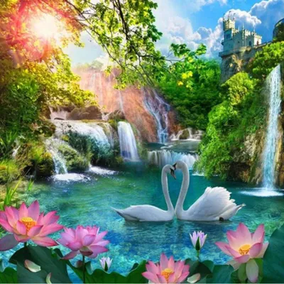 Produktbild von NORIMPEX Diamond Kleiner Schwan am Wasserfall 30x40cm