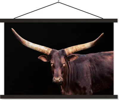 Produktbild von MuchoWow® Textilposter Kuh - Watussi - Schwarz 90x60 cm mit schwarzem Rahmen - Aufhängungssatz