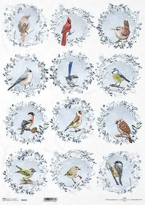 Produktbild von ITD Reispapier Decoupage Bastelpapier Serviettentechnik - A3 ITD-808L Vogelkränze