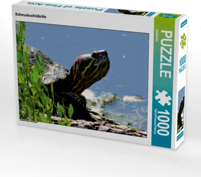 Produktbild von Calvendo Schmuckschildkröte 1000 Teile Puzzle quer 640x480mm, CALVENDO; 7305545