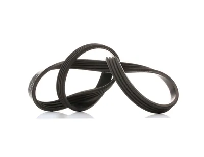 Produktbild von FEBI BILSTEIN Keilrippenriemen 830mm für BMW 3 Touring (E91) 38441