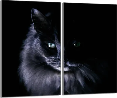 Obrázek produktu pro Skleněný kryt varné desky 2 kusy 30x52 Skleněný keramický kryt varné desky, Cat Black