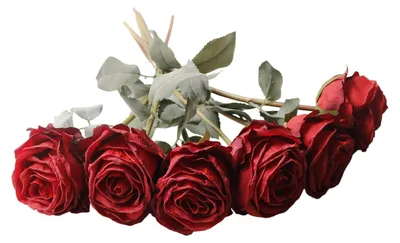Produktbild von Künstliche Rose, realistische Seidenrose mit Stiel, ideal für DIY-Hochzeitssträuße, Tischdekorationen und Blumenarrangements für Zuhause und Partys.