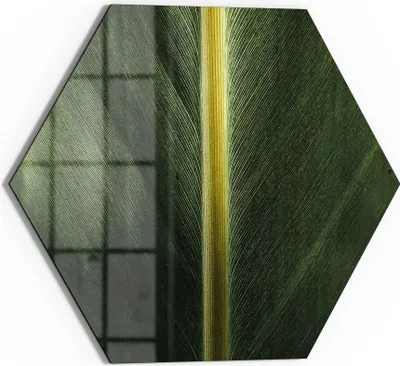 Produktbild von DEQORI Glasbild Echtglas 55x48 cm 'Grüne Blattader' Wandbild Bild modern Deko