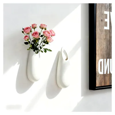 buy monstera deliciosa plant Monstera Deliciosa (seed grown) starter plant **(ALL plants require you to  purchase ANY 2 plants!)**