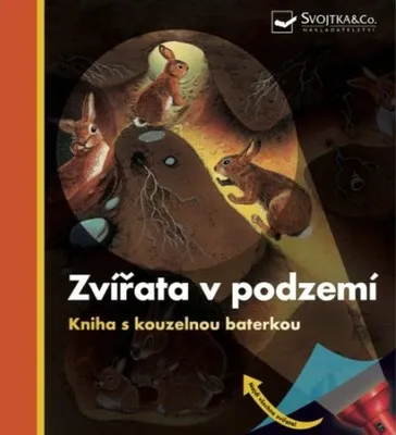 Obrázek produktu pro Svojtka & Co. Umgedrehtes Buch mit magischer Taschenlampe