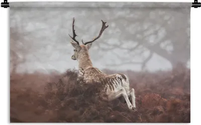 Produktbild von MuchoWow® Wandteppich Wandbehang Rehe - Nebel - Pflanzen 120x80 cm Tapisserie Dekoration Wandtuch - Wanddekorationen - Wandtücher