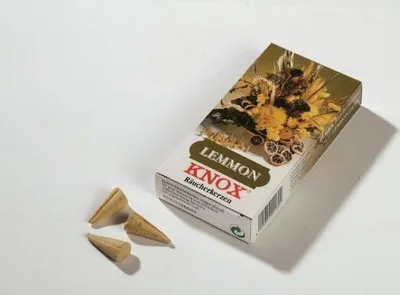 Obrázek produktu pro KNOX - Waldhonig - 24er Packung