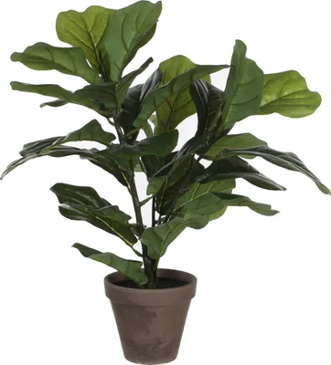 Produktbild von Mica Decorations Ficus lyrata Kunstpflanze im Blumentopf Stan - H35 x Ø45 cm - Grün