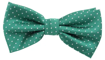 Produktbild von Fabio Farini - 1 Stück Herren Fliegen mit Punkten - Männer Querbinder Vorgebunden Bowtie Grün (Weiß)