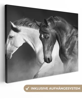 Produktbild von MuchoWow® - Leinwandbilder - Pferde - Tiere - Schwarz - Weiß - Porträt, Wandbild, Wanddeko Bilder Wohnzimmer, 120x90 cm