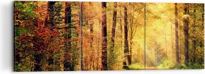 Produktbild von Bild auf Leinwand - Leinwandbild - Wald Baum Natur - 120x40cm - Wand Bild - Wanddeko - Wandbilder - Leinwanddruck - Bilder - Kunstdruck - Wanddekoration - Leinwand bilder - Wandkunst - CA120x40-3718