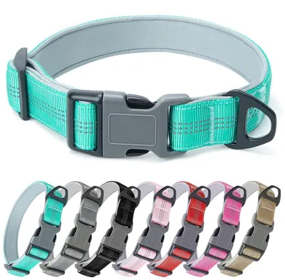 Image de Collier pour chien, nylon rembourré, réglable, réfléchissant, turquoise, taille XL