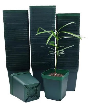 Image de Omgoods - 100 pots en plastique carrés de 8 cm, idéaux pour les plantes succulentes