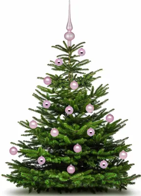 Produktbild von Christbaumspitze 26cm Pink Blush matt