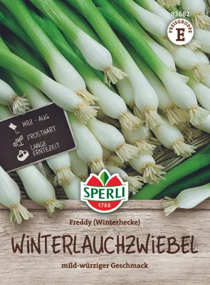 Produktbild von SPERLI Zwiebelsamen Freddy Winterheckenzwiebel Allium fistulosum 3-5 lfd. Meter