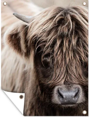 Produktbild von MuchoWow® 30x40 cm Outdoor-Poster Gartendeko Sichtschutz Garten Poster für den Garten  Schottischer Highlander - Tier - Hoorn
