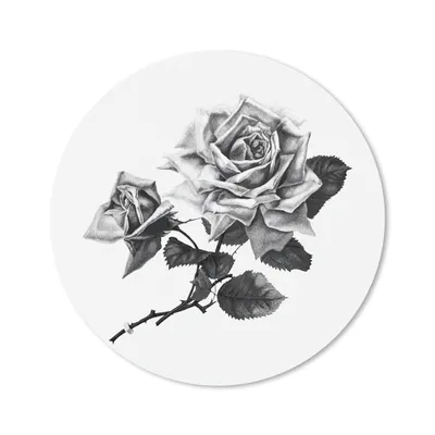Produktbild von MuchoWow® Mauspad Mousepad Vintage - Rosen - Blumen 50x50 cm - Mousepads - Maus Mat - Pad - Mausunterlage - Vinyl