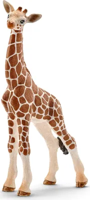 Produktbild von Giraffenbaby