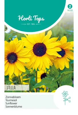 Artikelbild 1 von 'Sonnenblume Stella Gelb' aus der Kategorie Sonnenblumensamen