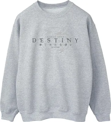Produktbild von Netflix - "The Witcher's Destiny" Sweatshirt für Herren BI49905 (L) (Grau)
