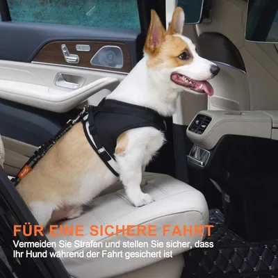 Hunde Sicherheitsgurt mit Stoßdämpfung, Hauptbild