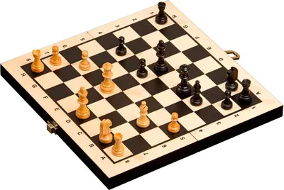 Image de Voyage-échecs-backgammon-dame