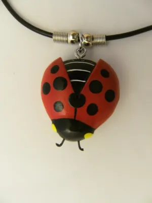 Produktbild von Kette mit Holzanhänger Marienkäfer, Ketten Modeschmuck Tiere Tier Glückskäfer
