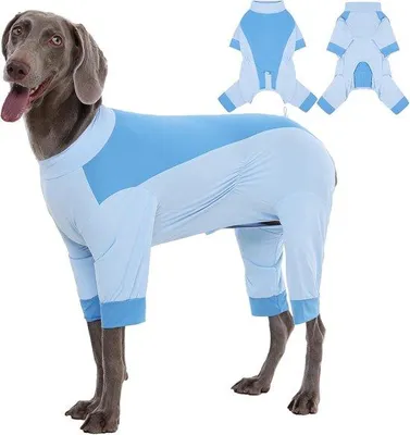 Produktbild von Famanu Hundebekleidung UV-Schutzshirt - Blau, 2XL